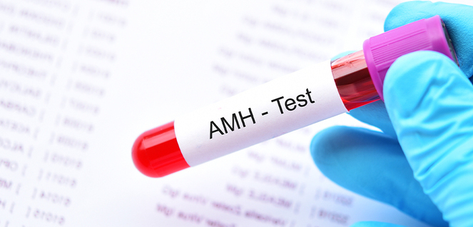 AMH Testing Irene IVF Centre