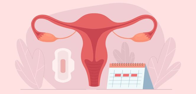 menstrual-cycle effect on fertility irene ivf centre