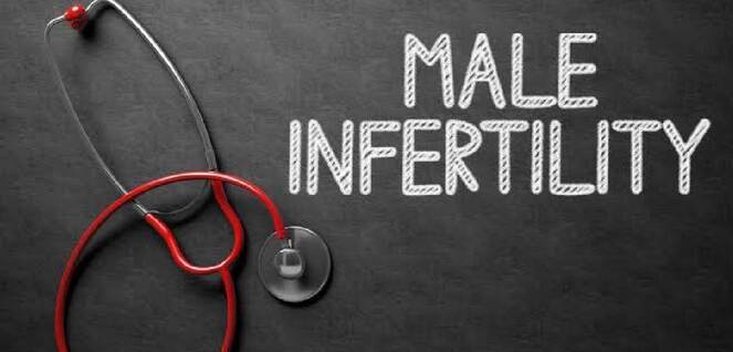 irene ivf centre - Male infertility