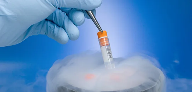 Egg Freezing Irene ivf centre