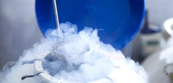 Egg Frezing irene ivf centre