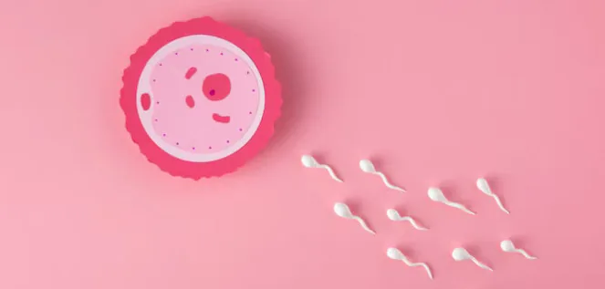 Specialist in Failed IVF Irene IVF Centre